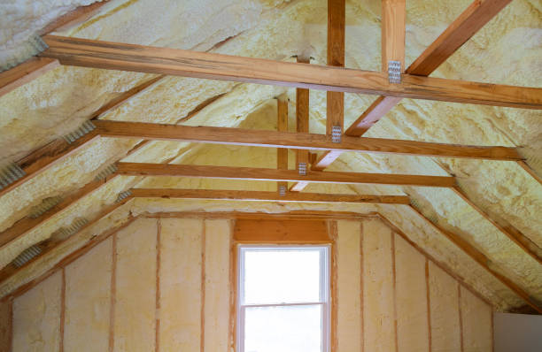 Best Home Insulation Services  in Albion, NE
