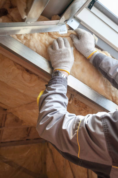 Best Soundproof Insulation Installation  in Albion, NE