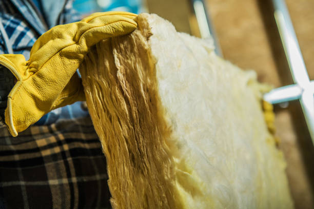Best Wall Insulation Contractor  in Albion, NE
