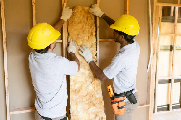 Best Fiberglass Insulation  in Albion, NE