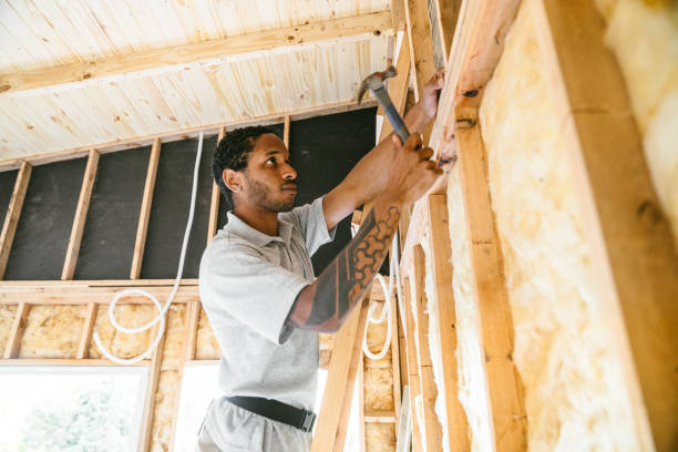 Best Insulation Removal  in Albion, NE