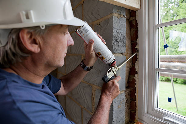 Best Professional Insulation Contractor  in Albion, NE