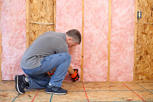 Best Residential Insulation Services  in Albion, NE