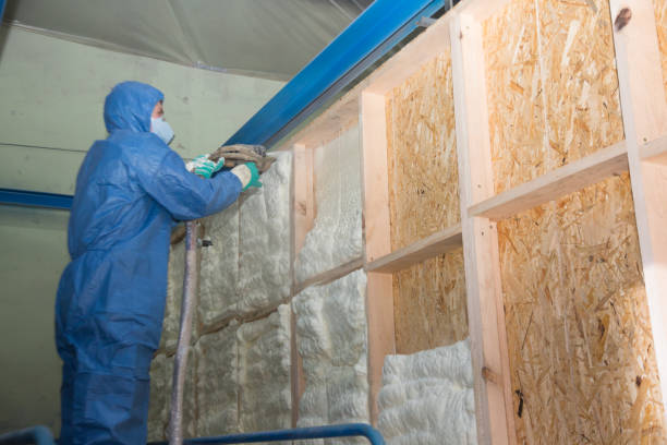 Best Home Insulation Services  in Albion, NE