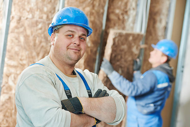 Best Energy-efficient Insulation  in Albion, NE