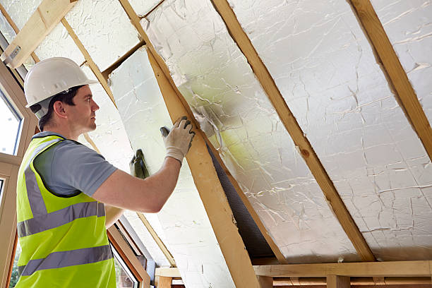 Best Insulation Inspection Services  in Albion, NE