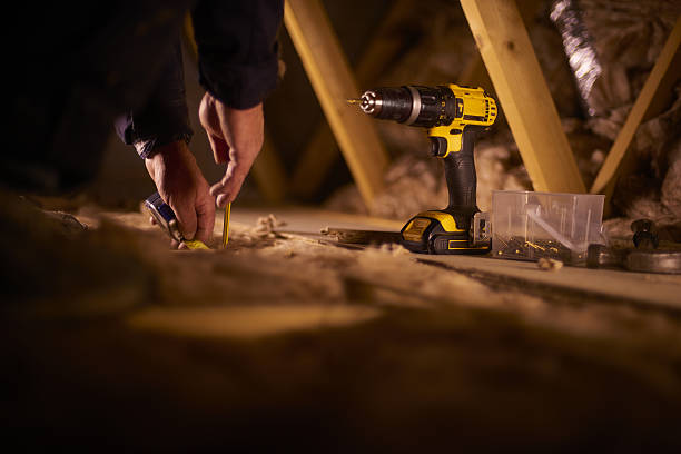 Best Insulation Contractors for Homes  in Albion, NE