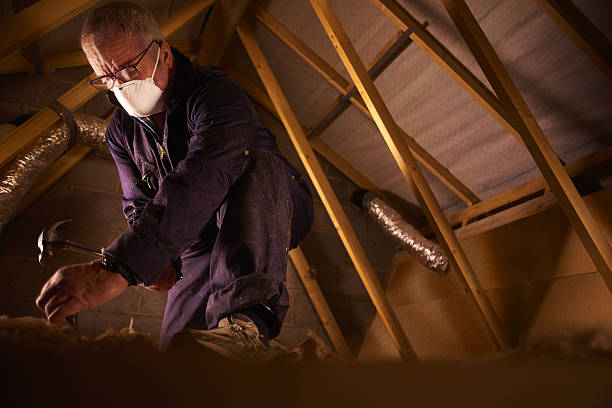 Best Insulation Contractors for Homes  in Albion, NE