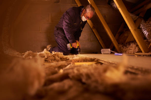 Best Residential Insulation Services  in Albion, NE